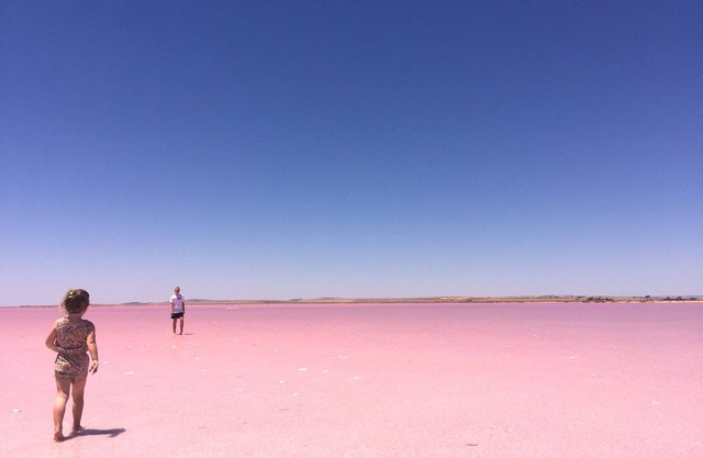 The Pink Lake Tiny House - 'Sakura' - Lake Bumbunga (Lochiel)