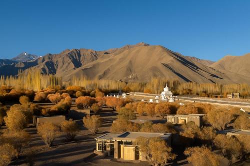 The Postcard in The Himalayan Willows, Stok, Leh