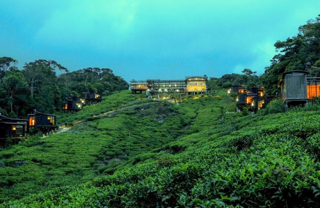 The Rainforest Ecolodge - Sinharaja with Shuttle Service from Car Park