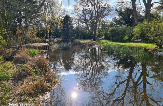 The Reading chalet with gardens and koi pond