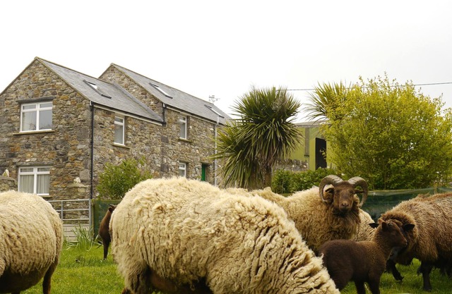 The Stable is a recently converted barn on a family run dairy and sheep farm situated near Port Erin