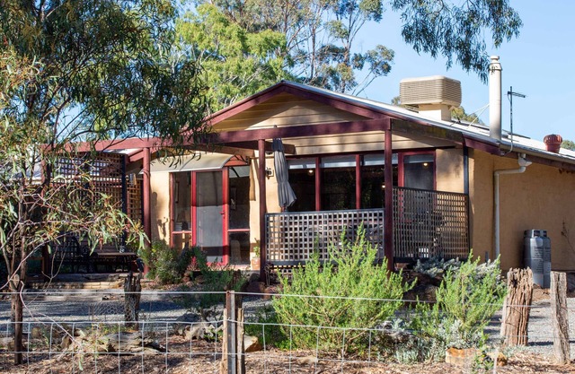 The Studio under the gum tree.
