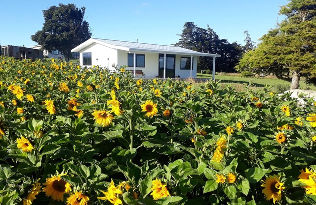 The Sun set Cottage 5min from Oamaru or Kakanui