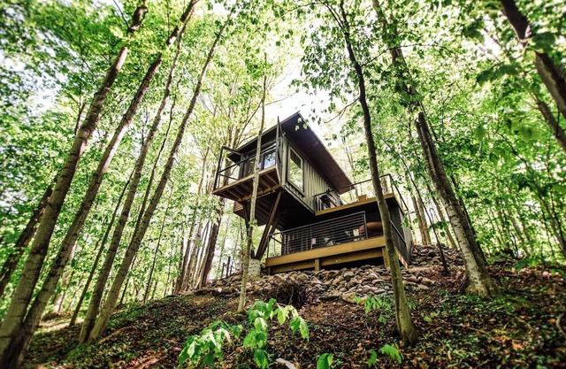 The Treehouse escape is set amidst 55 acres of natural beauty