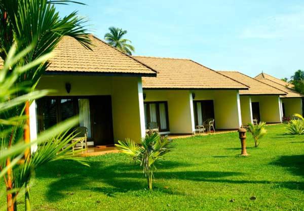 The Woods Resort
