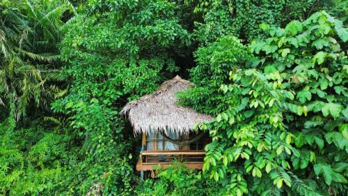 TheJungleGuide - Lodges & Treks