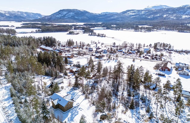 This 8-person holiday home is just a stone's throw from the center of Vrådal and is equipped with all luxury and conveniences.