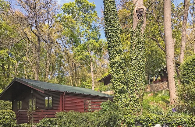 This cosy lodge features one double bedroom and one twin bedroom.