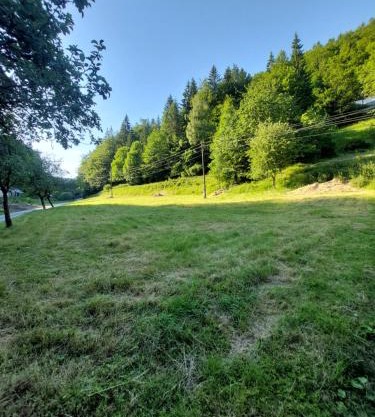 This is only meadow
