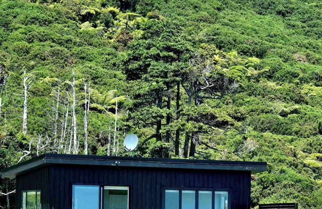 Tiny House close to Walking Tracks and beach only 5 mins to Greymouth Central