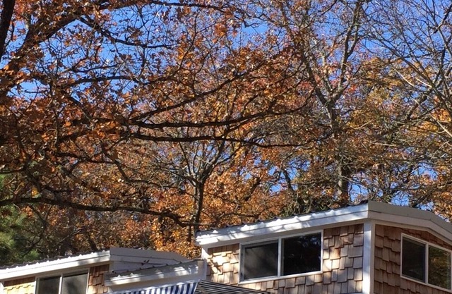 TINY HOUSE experience on the Cedar Creek Lake with lake view. 26mi to Canton!