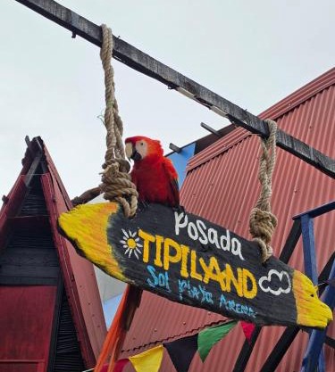 Tipiland baru la casa del mono