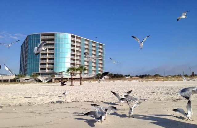 Top 10th Floor! Panoramic Views! On Beach! Fitness Center! Cabana Optional!