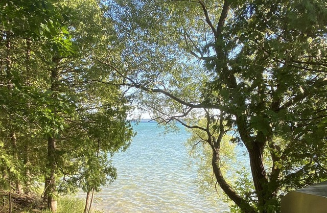 Torch Lake Log Cabin, optional Malibu boat rental. Book now August specials!
