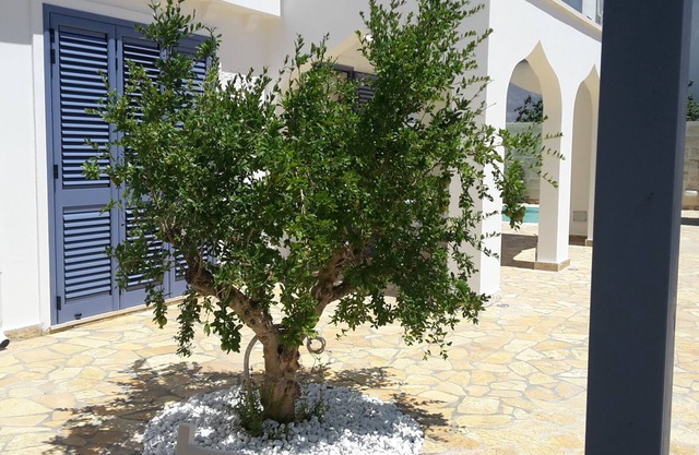 Torre Blu Residence - 4-seater apartment