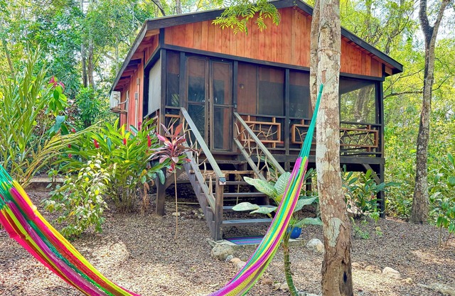 Toucan at Lost Compass Cabanas