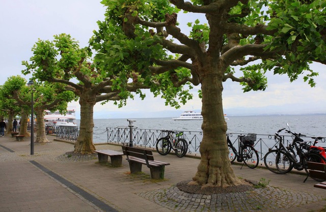 Traumhafte Sicht auf den See, die Berge und die Promenade
