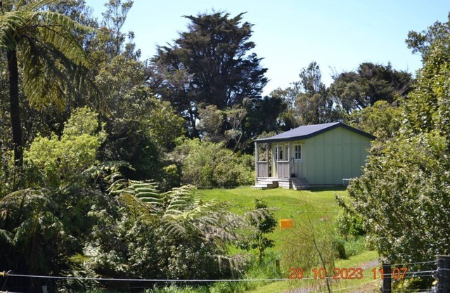 Tree Fuchsia Cabin