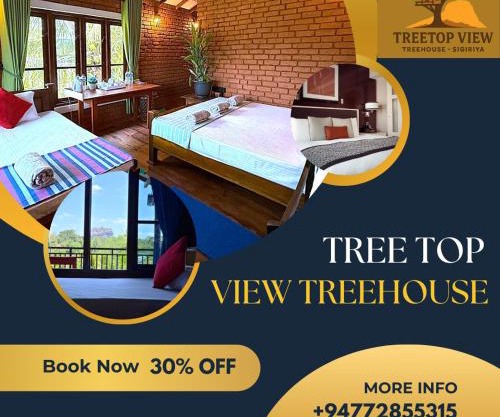 Tree Top View Tree House