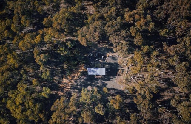 Treetops 1 by Tiny Away