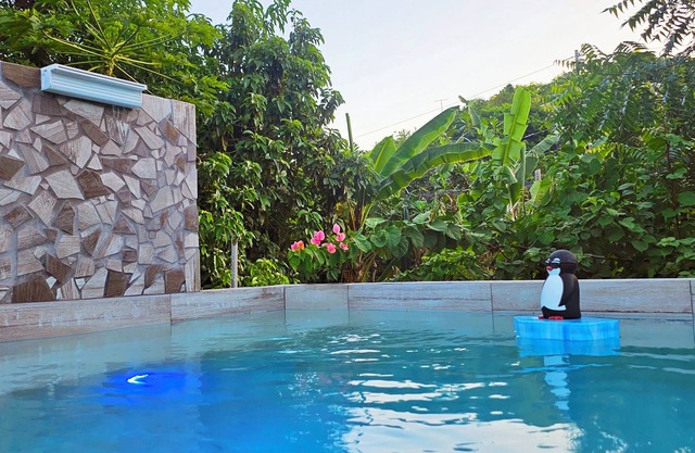 Tropical Studio with Private Pool & Balcony