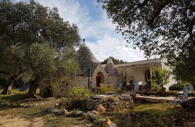 TRULLO in an evergreen olive grove in Salento, Apulia.