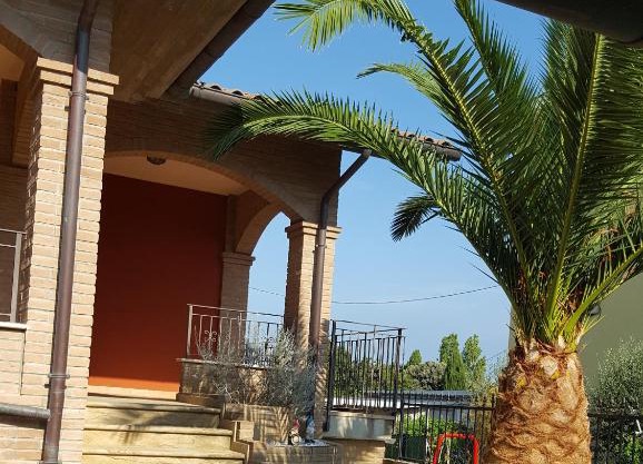 Tulipano Appartamenti