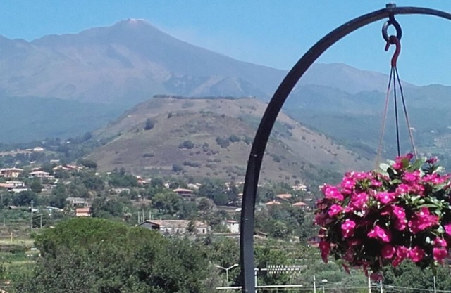 Two neighboring houses, totally independent, ideal for families or groups.