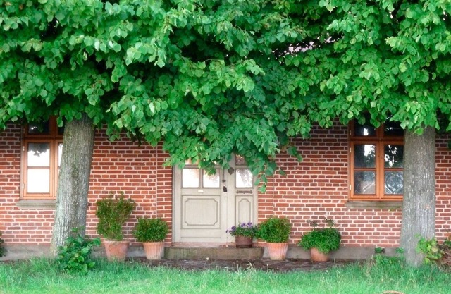 Vacation apartment/apartment for 4 guests with 65m² in Fehmarn OT Altenteil (17743)