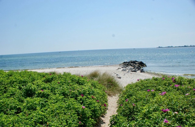 Vacation apartment/apartment for 5 guests with 100m² in Fehmarn OT Fehmarnsund (126506)