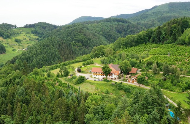 Vacation farm Hölzleberg in Durbach in the Black Forest in the countryside with pool