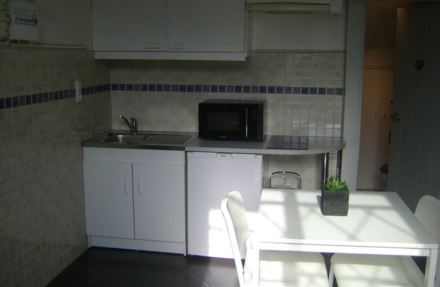 Vacation rental pretty furnished studio 16 m² Aix Les Bains
