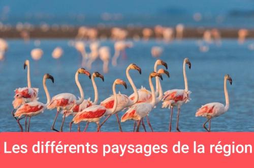 Van aménagé 3 couchages sans SANITAIRE proche de la plage