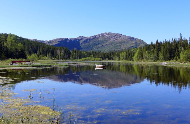 Velfjord camping & hytter