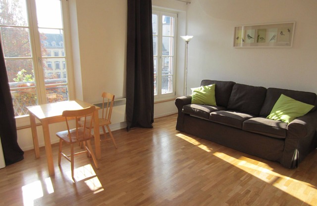 Very nice studio on the river in downtown Strasbourg