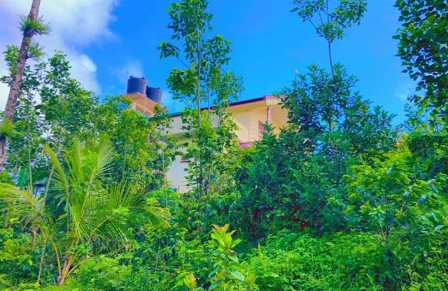 View point homestay Coorg !