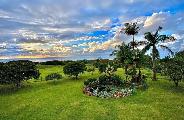 View, Value, Comfort, Clean, Gracious Host Available To Assist You In Planning