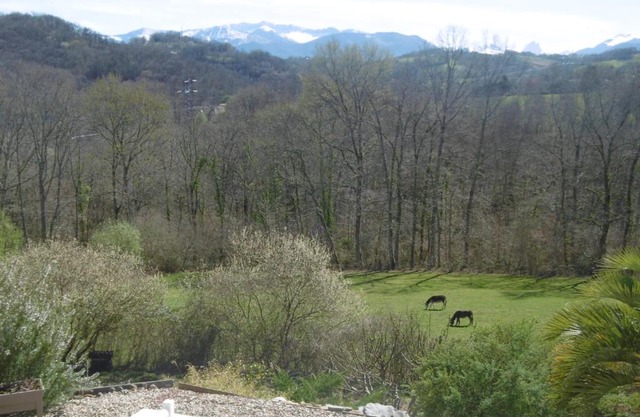 VIGNES ET MONTAGNE !