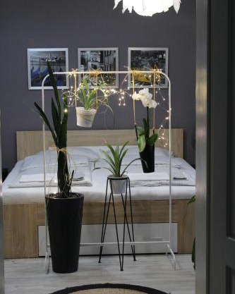 Viky Apartment