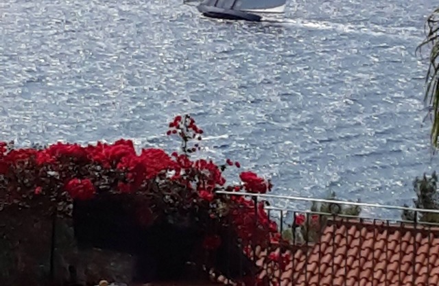 villa del mare ligure