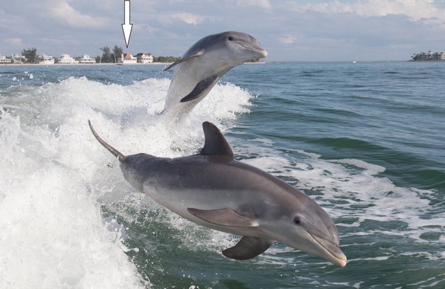 Villa Island Getaway - BEACHFRONT with BOAT INVCLUDED on North Captiva!