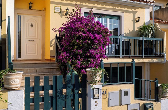 Villa Magno, a spacious sunlit retreat in Portugal’s beloved surf town.