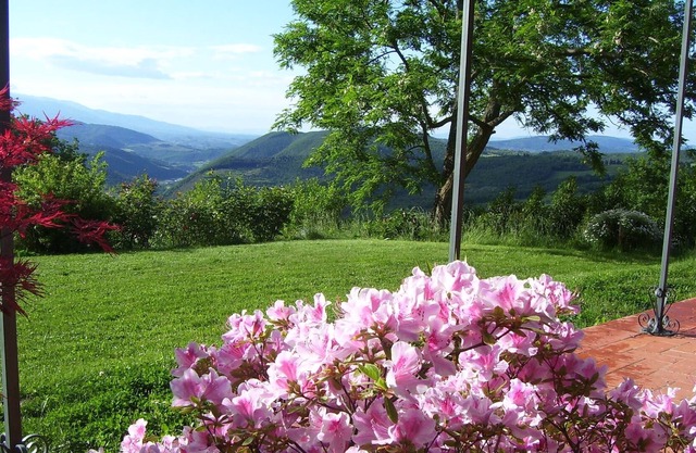 Villa Torre di Colonne Historic House, (XI - XV C) genuine italian hospitality