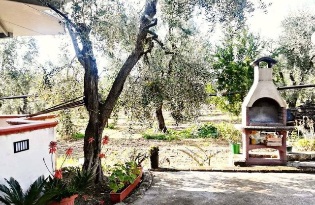 Villetta immersa nell'uliveto di famiglia