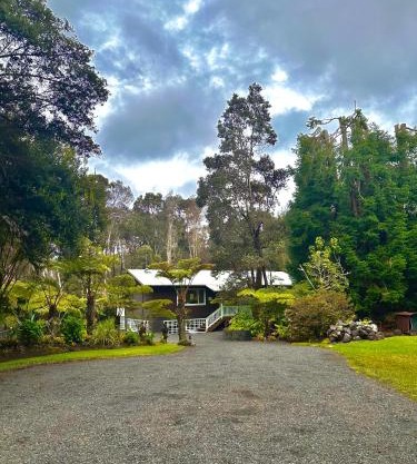 Volcano Hideaway Cabin as seen on HGTV