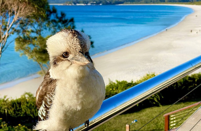 Walters Holiday Flats @ Hyams Beach (Flat 3) - Book 7 nights pay for only 6*