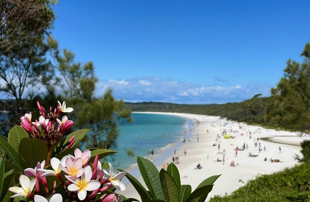 Walters Holiday Flats @ Hyams Beach (Flat 2) - Book 7 nights pay for only 6*