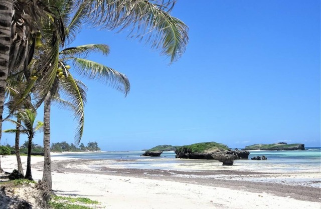Watamu, nestled between pristine beaches and lush tropical forest
