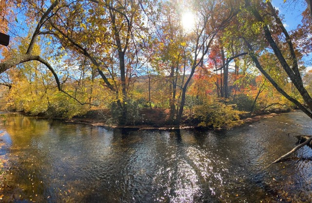 Waterfront Mills River Villa, close to Asheville, pet-friendly
