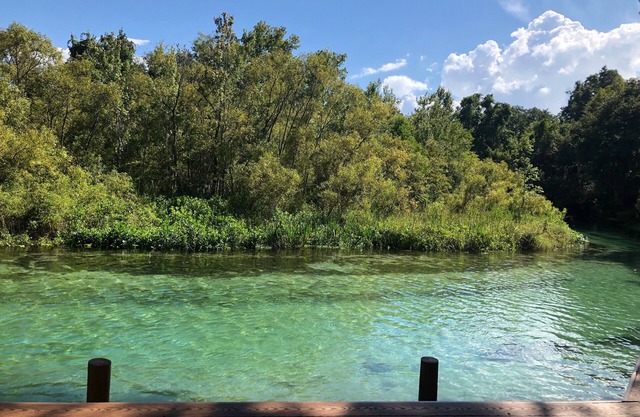 Weeki Wachee MAIN RIVER